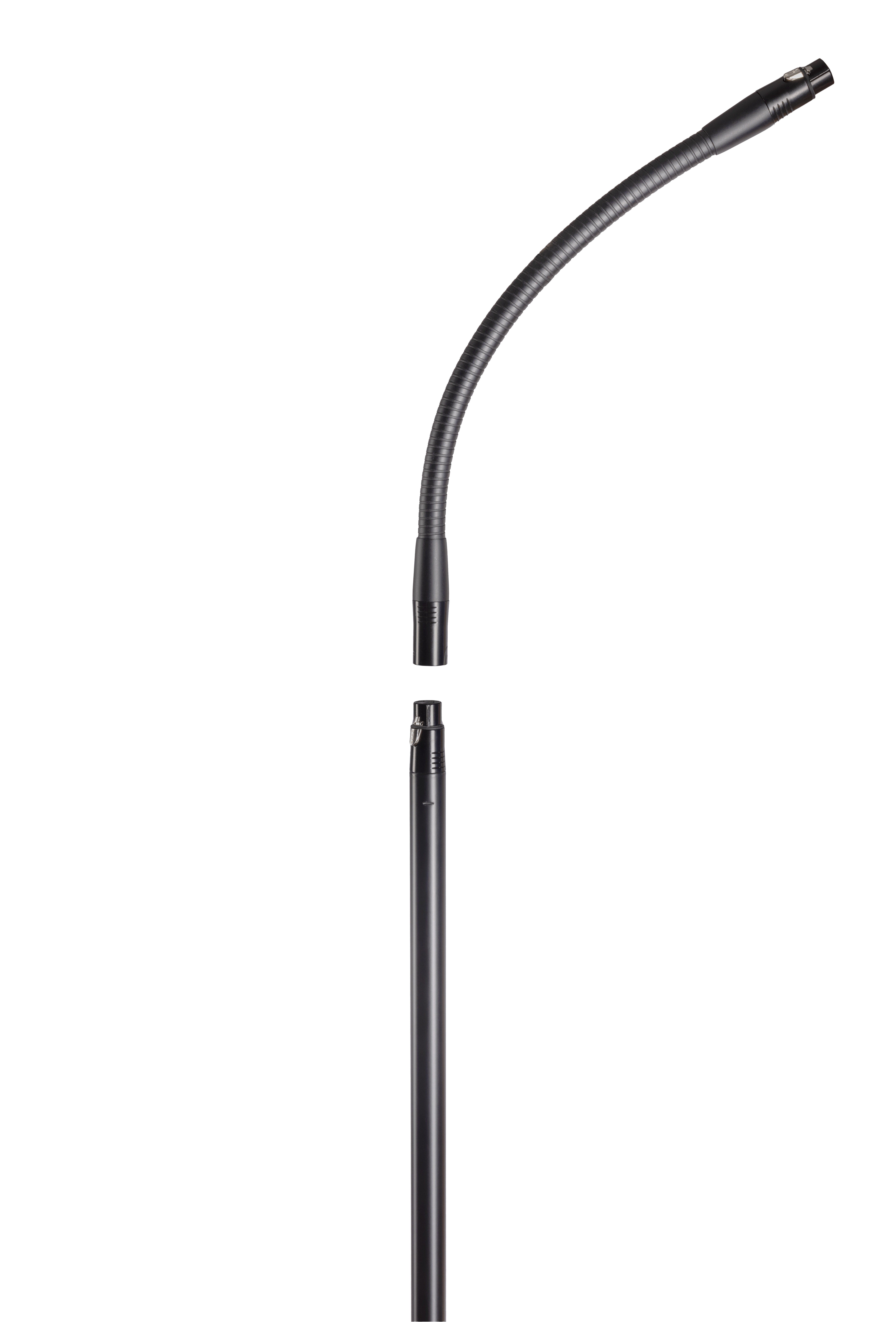 XLR Microphone stand with gooseneck